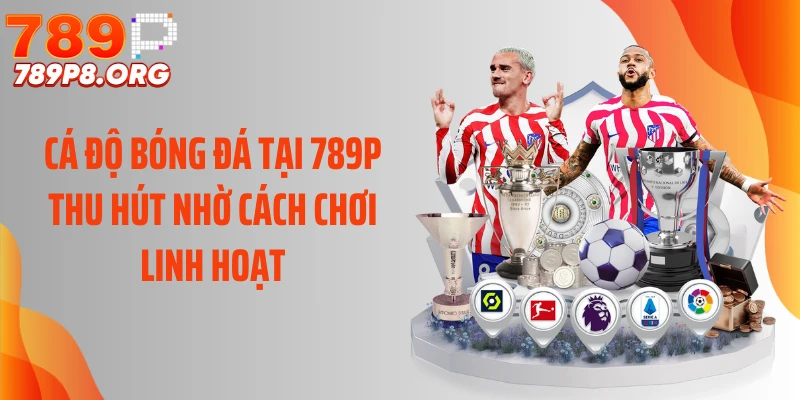 Cá Độ Bóng Đá Tại 789P Thu Hút Nhờ Cách Chơi Linh Hoạt