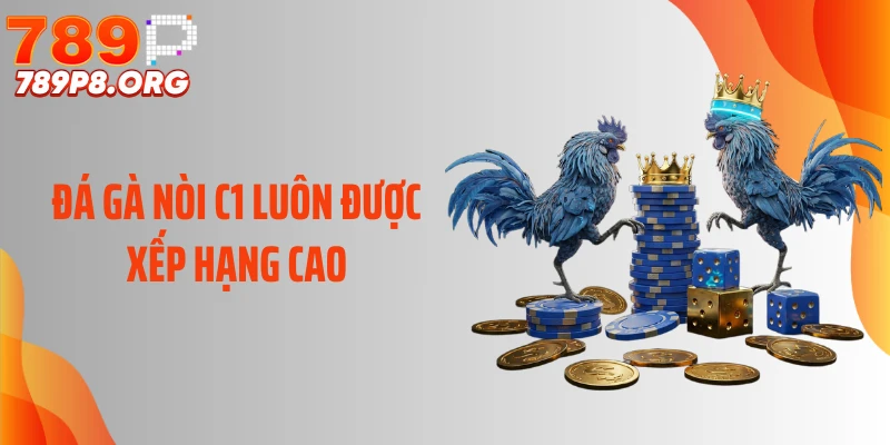 Đá gà nòi C1 luôn được xếp hạng cao