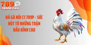 Đá Gà Nòi C1 789P - Sức Hút Từ Những Trận Đấu Đỉnh Cao