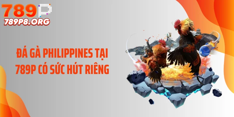 Đá gà Philippines tại 789P có sức hút riêng