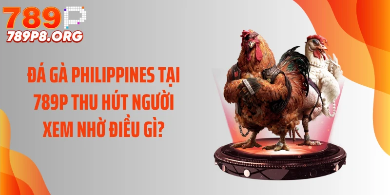 Đá Gà Philippines Tại 789P Thu Hút Người Xem Nhờ Điều Gì?