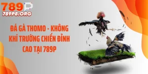 Đá Gà Thomo - Không Khí Trường Chiến Đỉnh Cao Tại 789P