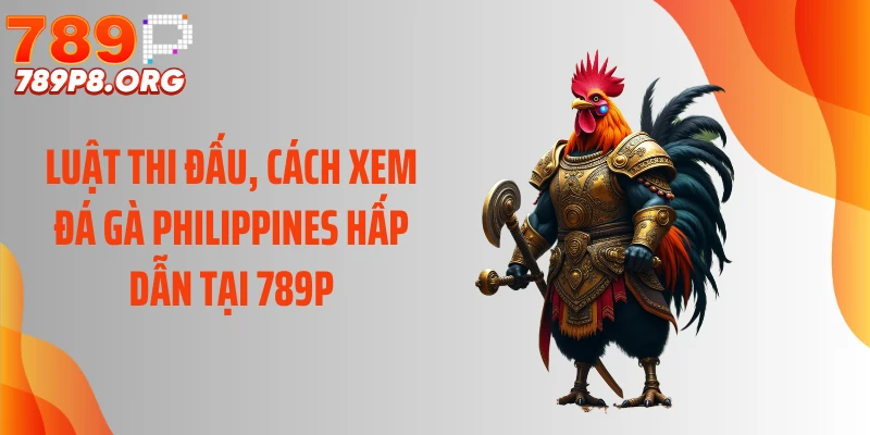 Luật thi đấu, cách xem đá gà Philippines hấp dẫn tại 789P
