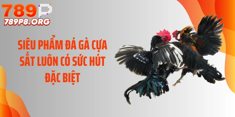 Siêu phẩm đá gà cựa sắt luôn có sức hút đặc biệt