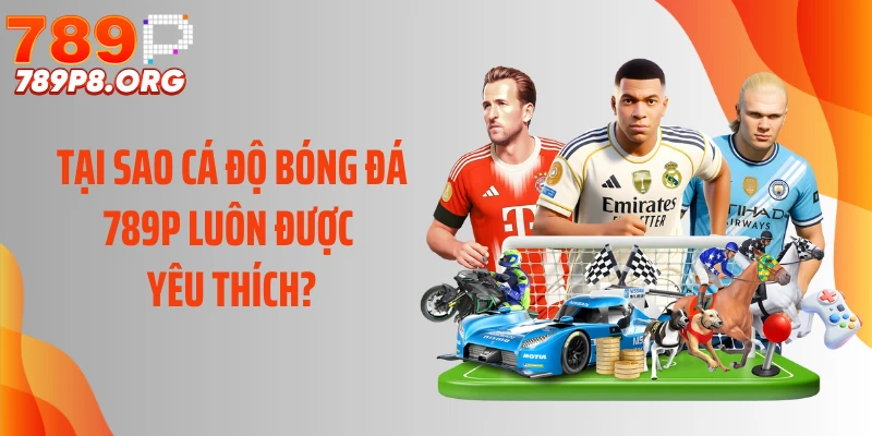 Tại sao cá độ bóng đá 789P luôn được yêu thích?