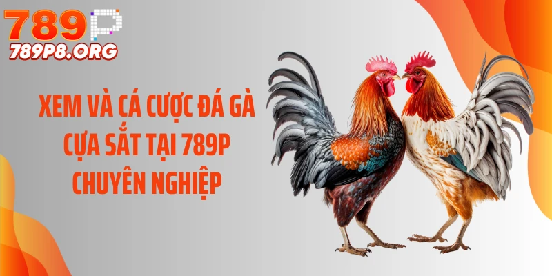 Xem và cá cược đá gà cựa sắt tại 789P chuyên nghiệp